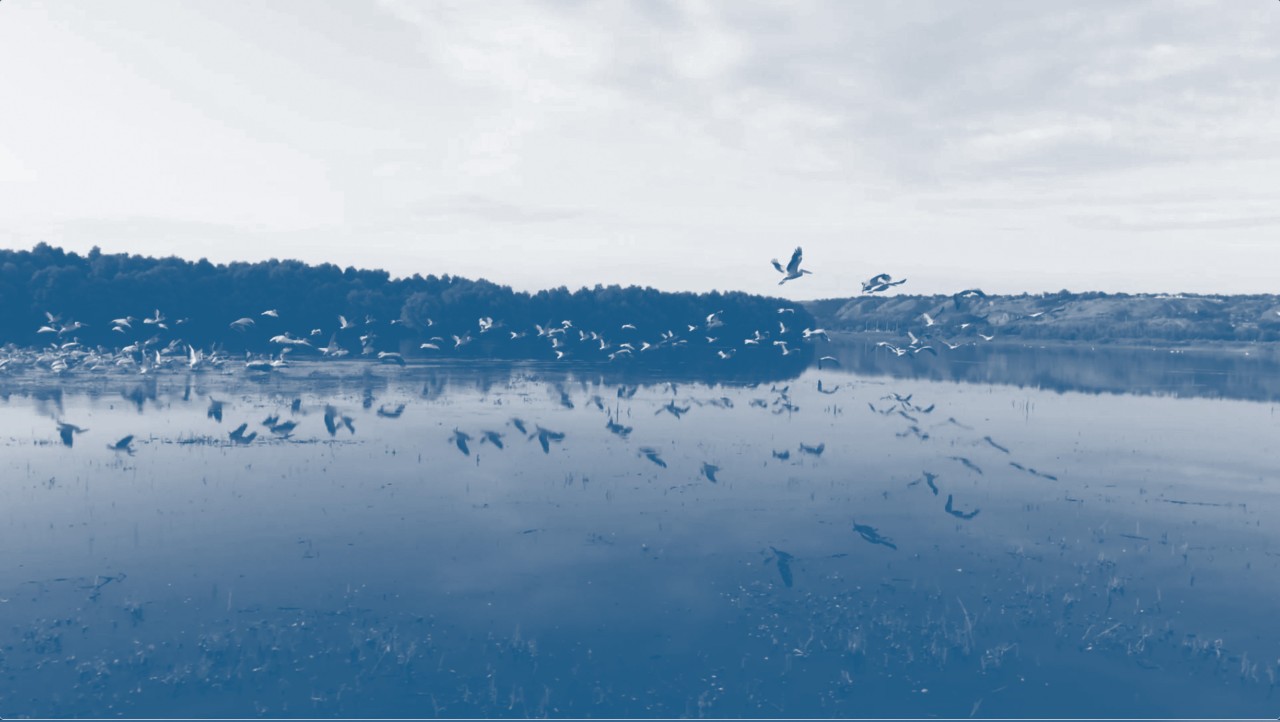 Larger banner 
